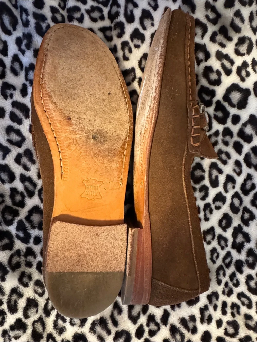 alan payne refined brown